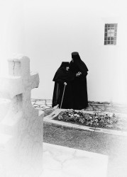 SASKO56 
In the Celije monastery 
2023-04-15 16:15:39