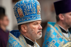 palavos 
O. Jerzy Bogacewicz 
2023-04-15 22:06:53