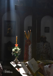 levangabechava 
 
2023-04-21 12:27:52
