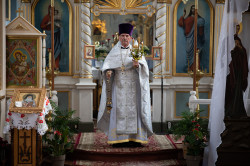 lukasz 
Ks. prot. Sławomir Troc 
21 
2023-04-21 22:01:46