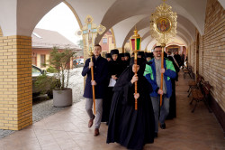 jarek1 
Paschal procession in Zwierki Convent 
2023-04-30 14:11:20