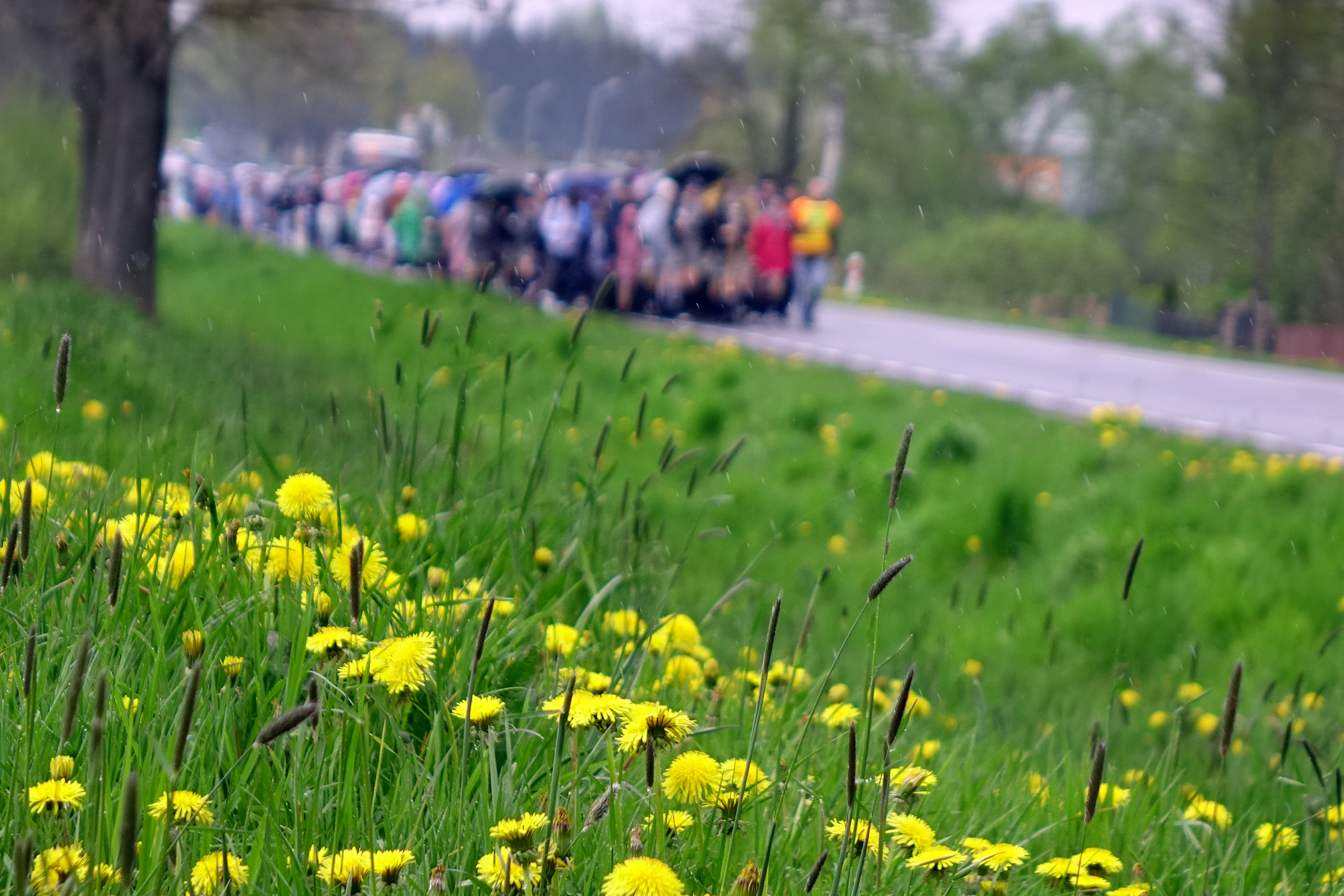 The pilgrimage from Białystok to Zwierki Convent on the occasion of St. martyr Gabriel feast