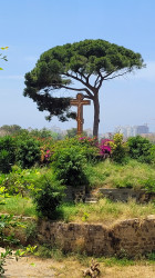 jarek1 
In sts. Peter the Apostle and Tabitha Orthodox monastery in Jaffa 
2023-05-29 17:36:08