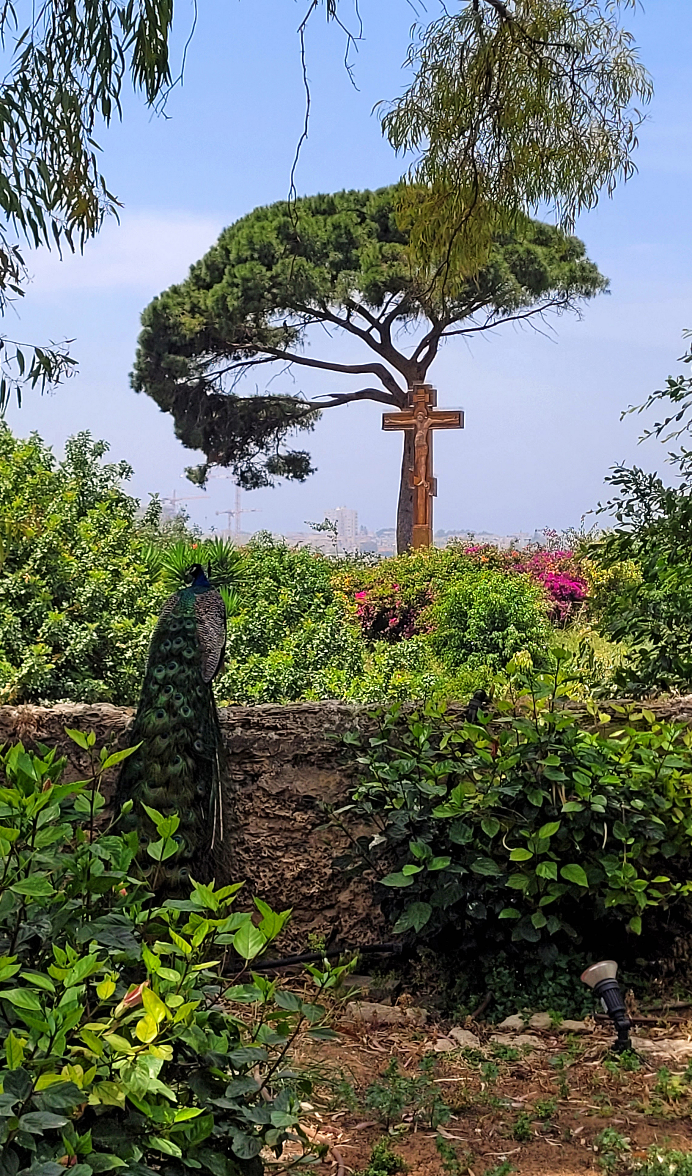 St. Paul the Apostle and St. Tabitha Monastery in Jaffa