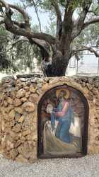 jarek1 
In Ascension Greek Orthodox convent in Jerusalem 
2023-06-15 21:32:43