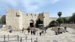 jarek1 
Damascus Gate in Jerusalem 
2023-06-25 19:04:23