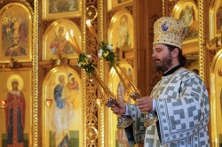 jarek 
The Holy Spirit feast in the Holy Spirit church in Białystok 
2023-06-27 19:26:38
