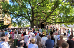 jarek 
The Holy Spirit feast in the Holy Spirit church in Białystok 
2023-06-27 19:30:45