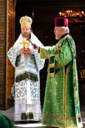 jarek 
The Holy Spirit feast in the Holy Spirit church in Białystok 
2023-06-29 20:14:33