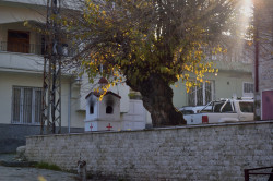 Sheep1389 
Chapel in Arab-Turkish Orthodox village Tokacli, January 2023 
2023-06-30 22:30:54