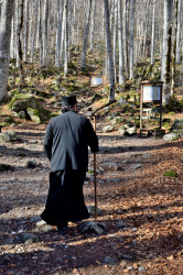 Sheep1389 
Monk going to st. John of Rila chapel, January 2022 
2023-06-30 22:32:36