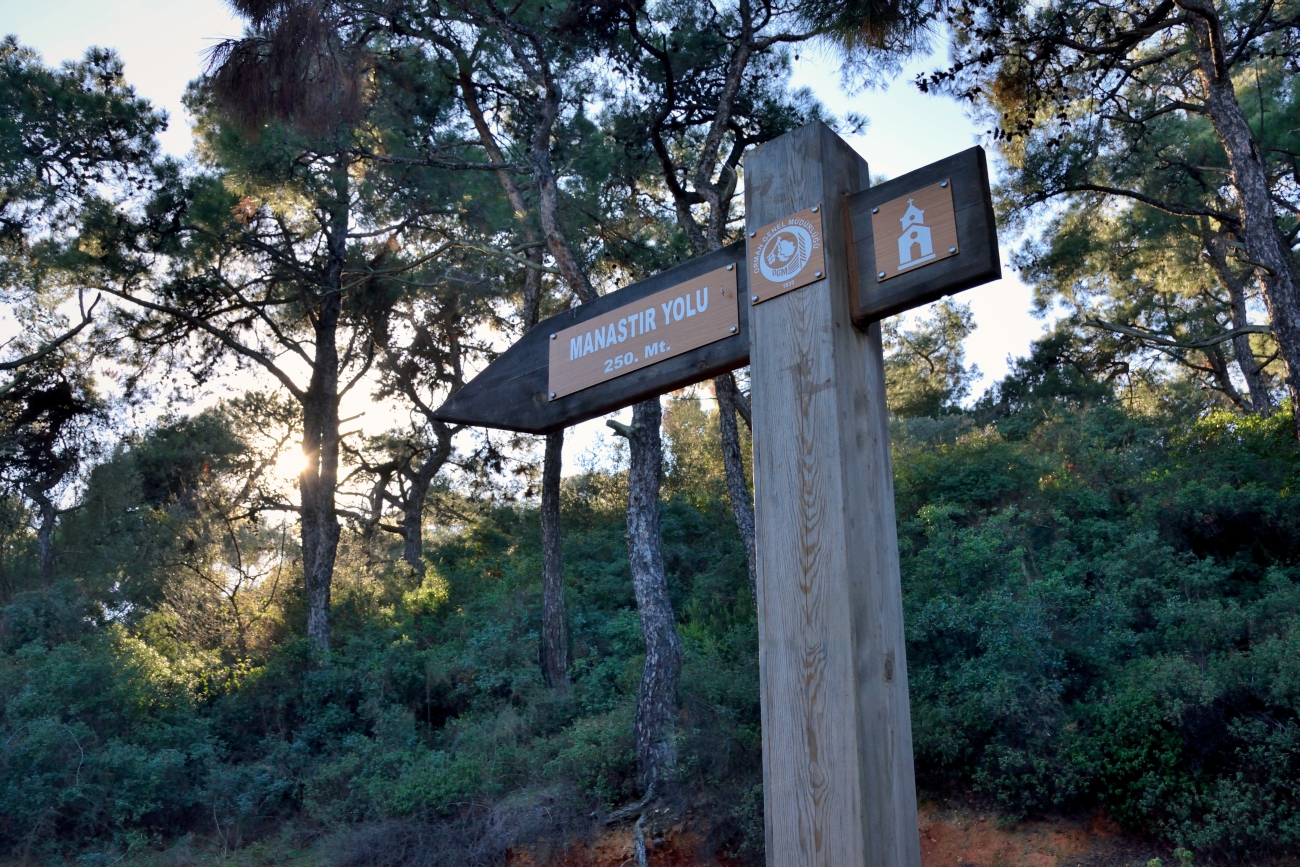 To saint George monastery, Buyukada, January 2023