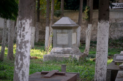 Sheep1389 
An Arab Orthodox grave, Iskenderun 
2023-07-06 11:59:40