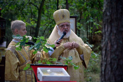 Sheep1389 
Władyka Warsonofiusz na leśnej Liturgii 2022 
2023-07-12 12:43:39