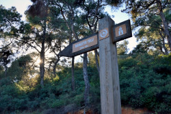 Sheep1389 
To saint George monastery, Buyukada, January 2023 
2023-07-23 20:56:18