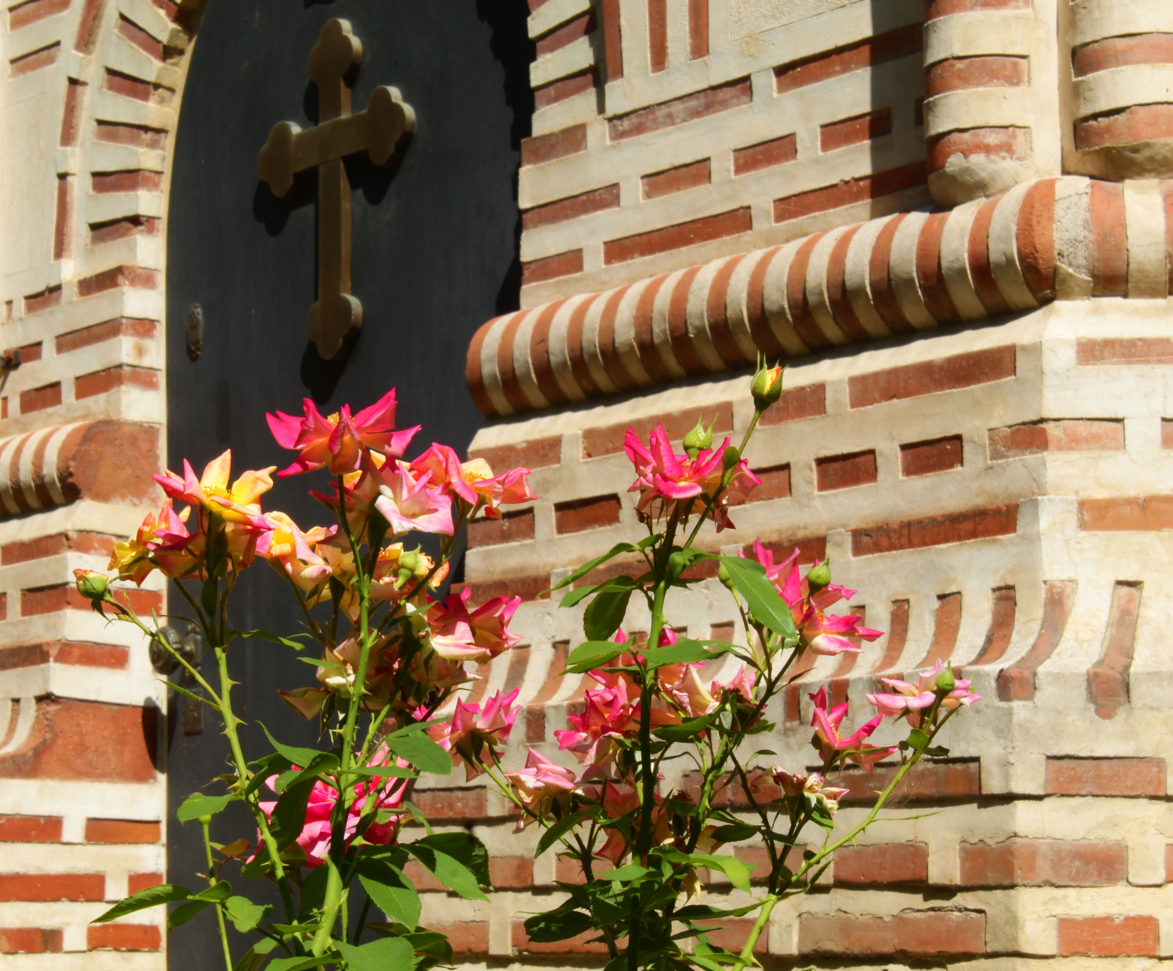 Roses in God&#039s garden