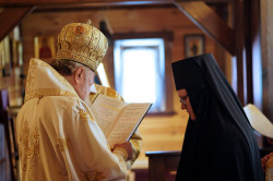 jarek1 
Monastic vows in Zaleszany Convent 
2023-08-23 07:46:34
