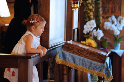 jarek1 
Monastic vows in Zaleszany Convent  
2023-08-26 21:29:37