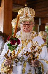 jarek 
Metropolitan Sawa 
2023-09-18 13:56:31