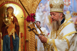 jarek 
Archbishop Grzegorz 
2023-09-24 22:52:44