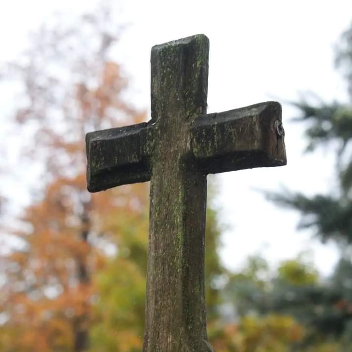 Holy Cross