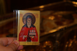  
Saint Demetrius the New 
2023-10-28 12:24:30