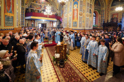 jarek1 
The Meeting of the Lord in the Temple feast in St. Nicholas Cathedral in Białystok 
2023-11-18 17:59:35
