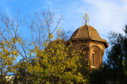  
Colorful leaves and a church 
2023-11-19 23:35:29