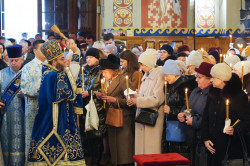 jarek1 
The Meeting of the Lord in the Temple feast in St. Nicholas Cathedral in Białystok 
2023-11-20 19:00:12