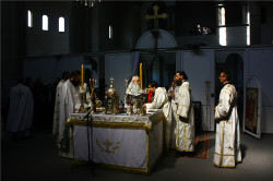 felix 
Liturgy of Saint John Chrysostom in Valjevo 
2023-11-22 21:19:47