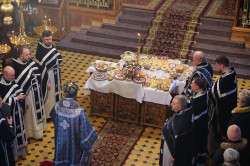 jarek1 
Blessing of kolivo in the momory of St. Thedore Thyrone in St. Nicholas Cathedral in Białystok 
2023-11-27 11:10:19