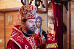 jarek1 
St. Catherine feast in Zaleszany Convent 
2023-12-26 11:04:35