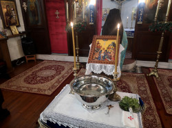 Sheep1389 
Theophany Eve, Smyrna, 05.01.2024 
2024-01-14 21:08:50