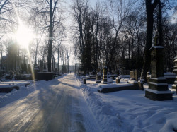 Sheep1389 
Orthodox cemetery in Warsaw, January 2024 
2024-01-24 16:07:03