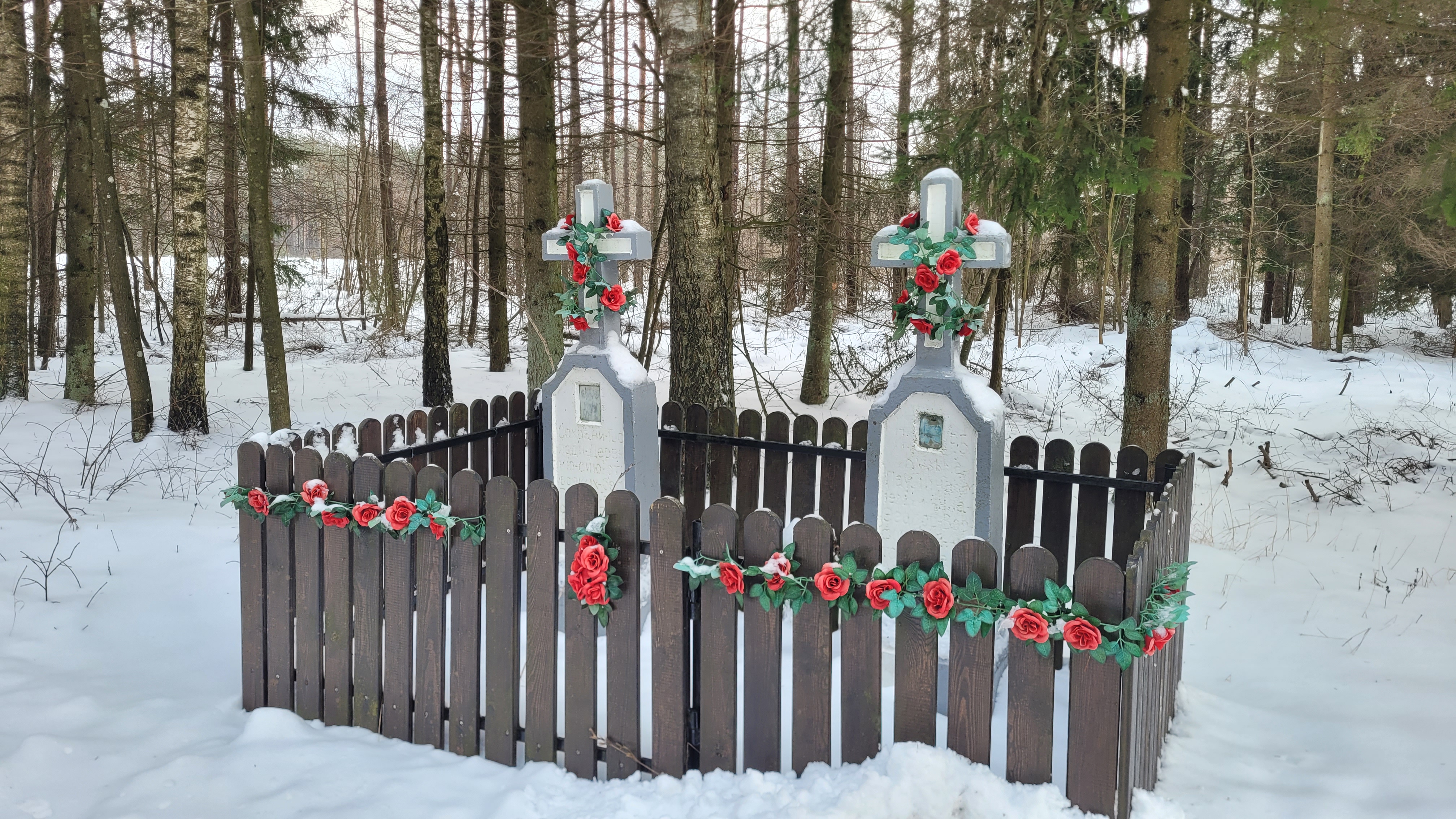 Crosses close to Odnoga village