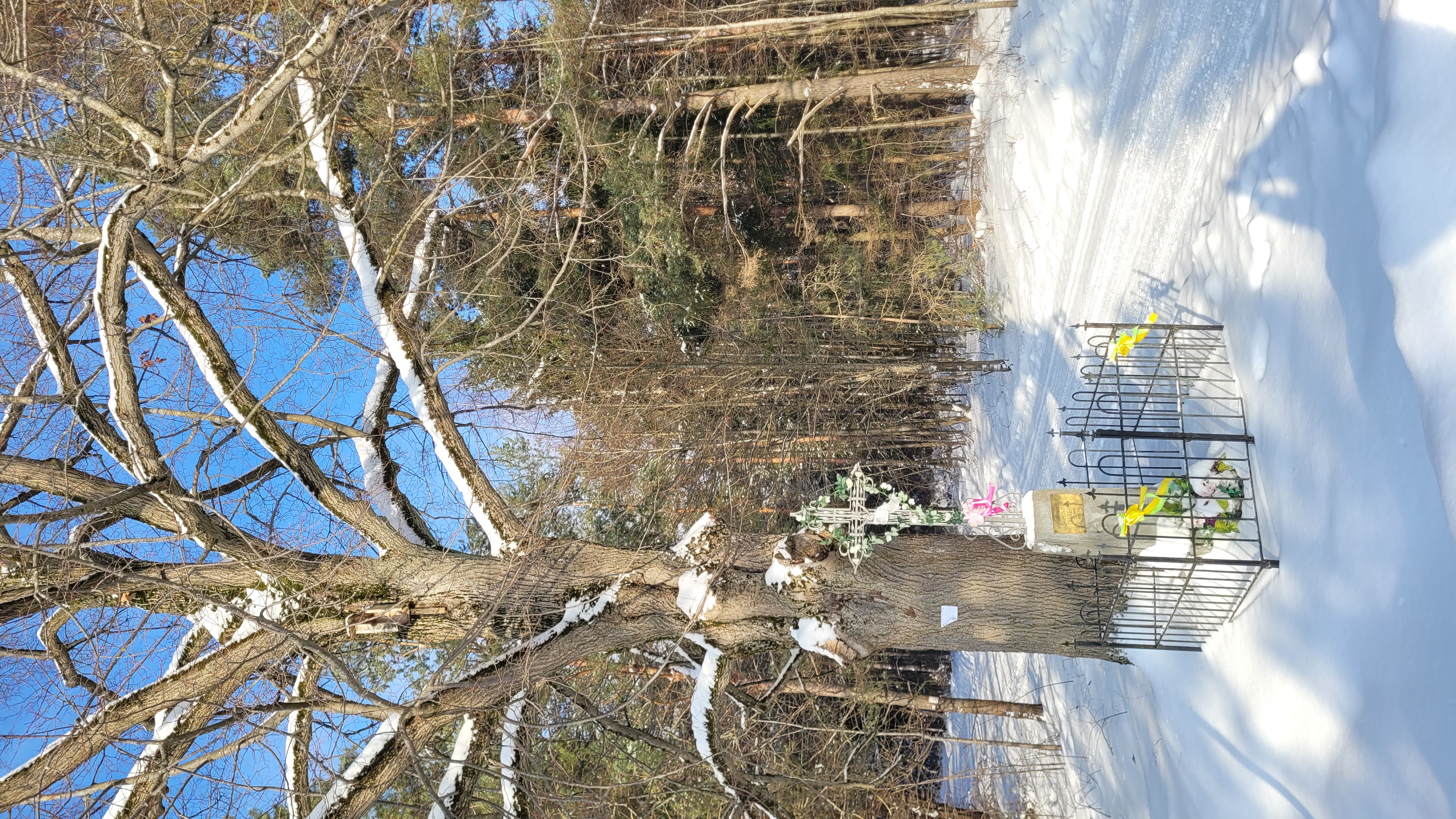 The cross close to Kołodno village