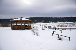 jarek1 
Epiphany feast in Odrynki Skete 
2024-02-05 20:32:59