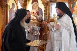 jarek1 
Epiphany feast in Odrynki Skete 
0 
2024-02-11 13:12:50