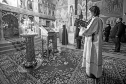 jarek1 
The Meeting of the Lord in the Temple feast in Zwierki Convent 
2024-02-16 19:05:41