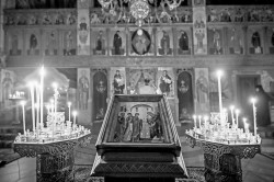 jarek1 
The Meeting of the Lord in the Temple feast in Zwierki Convent 
2024-02-16 19:08:01