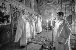 jarek1 
The Meeting of the Lord in the Temple feast in Zwierki Convent 
2024-02-16 19:08:13