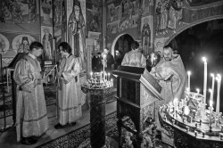 jarek1 
The Meeting of the Lord in the Temple feast in Zwierki Convent 
2024-02-17 22:27:16