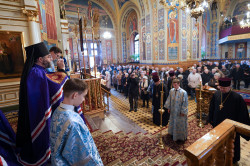 jarek1 
The Meeting of the Lord in the Temple feast in St. Nicholas Cathedral in Białystok 
2024-02-28 21:34:28