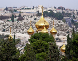 LemkoDS 
Domes of the Orthodox Convent of St. Mary Magdalene in Jerusalem 
2024-03-11 21:27:53