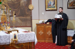 jarek1 
St. Sawa feast in St. Mary Magdalene Orthodox Cathedral in Warsaw 
2024-03-18 19:53:24