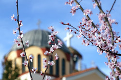 jarek1 
The Holy Trinity church in Polystylo 
2024-03-30 18:56:37