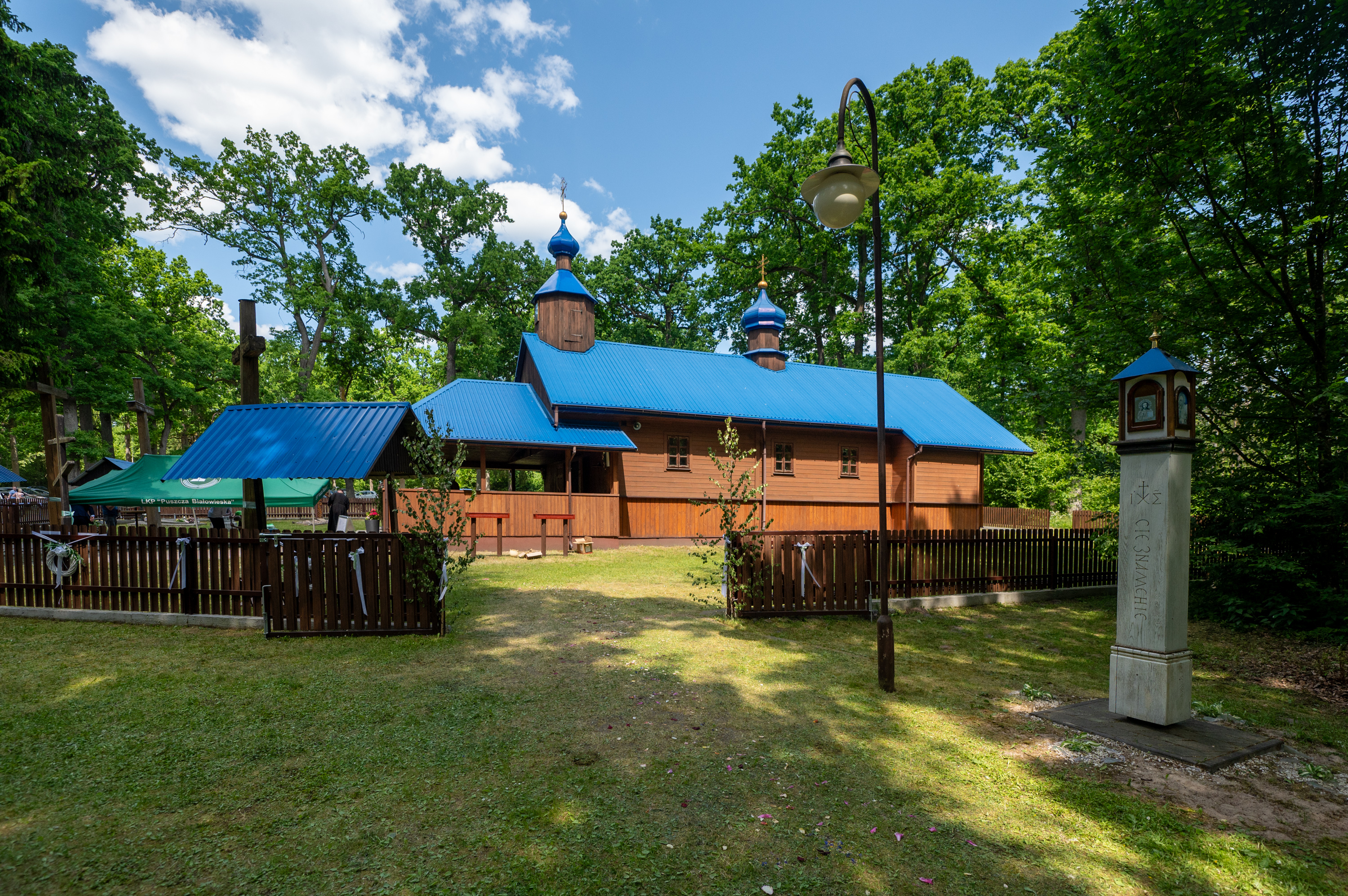 Krynoczka