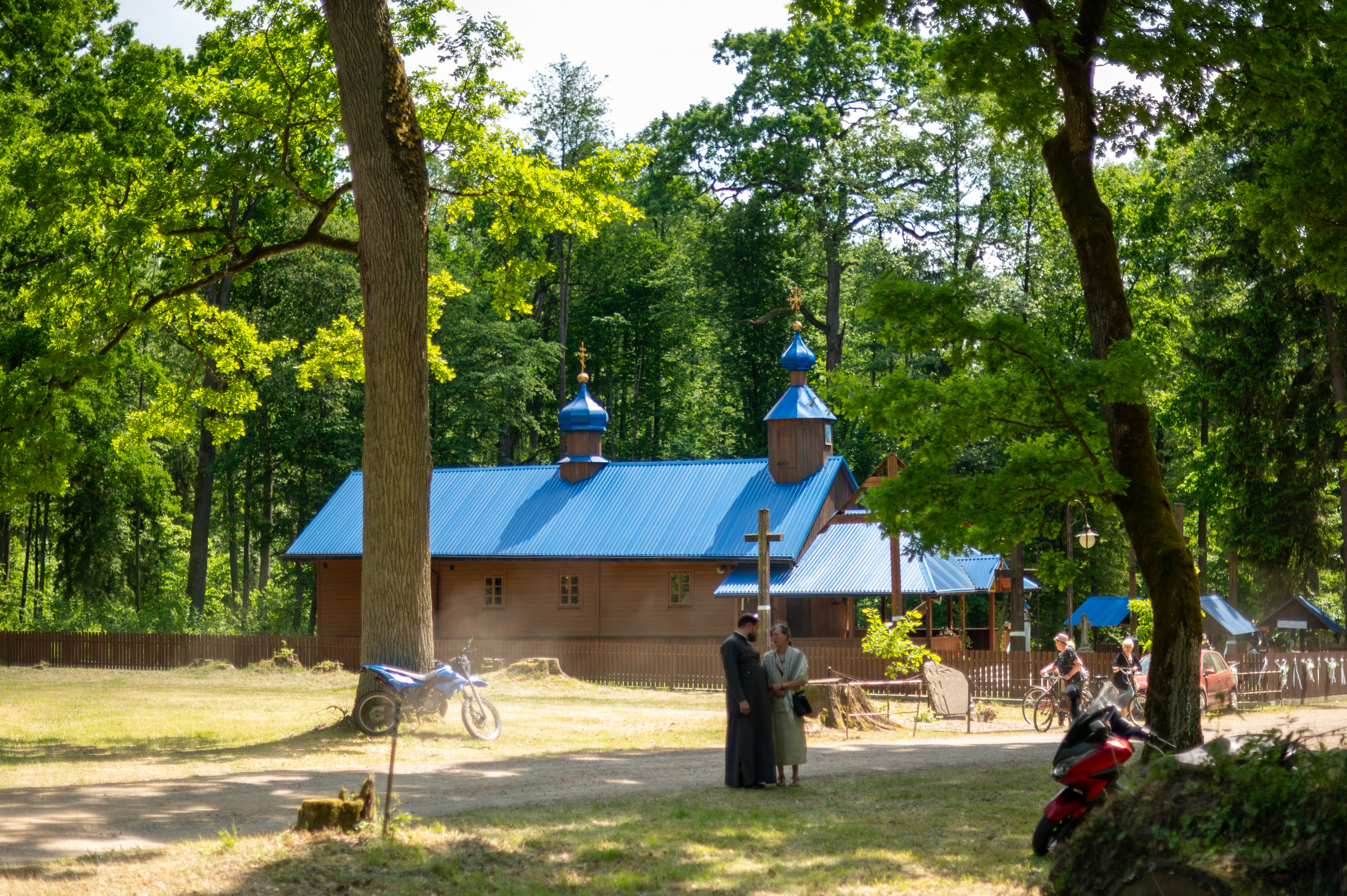 Krynoczka