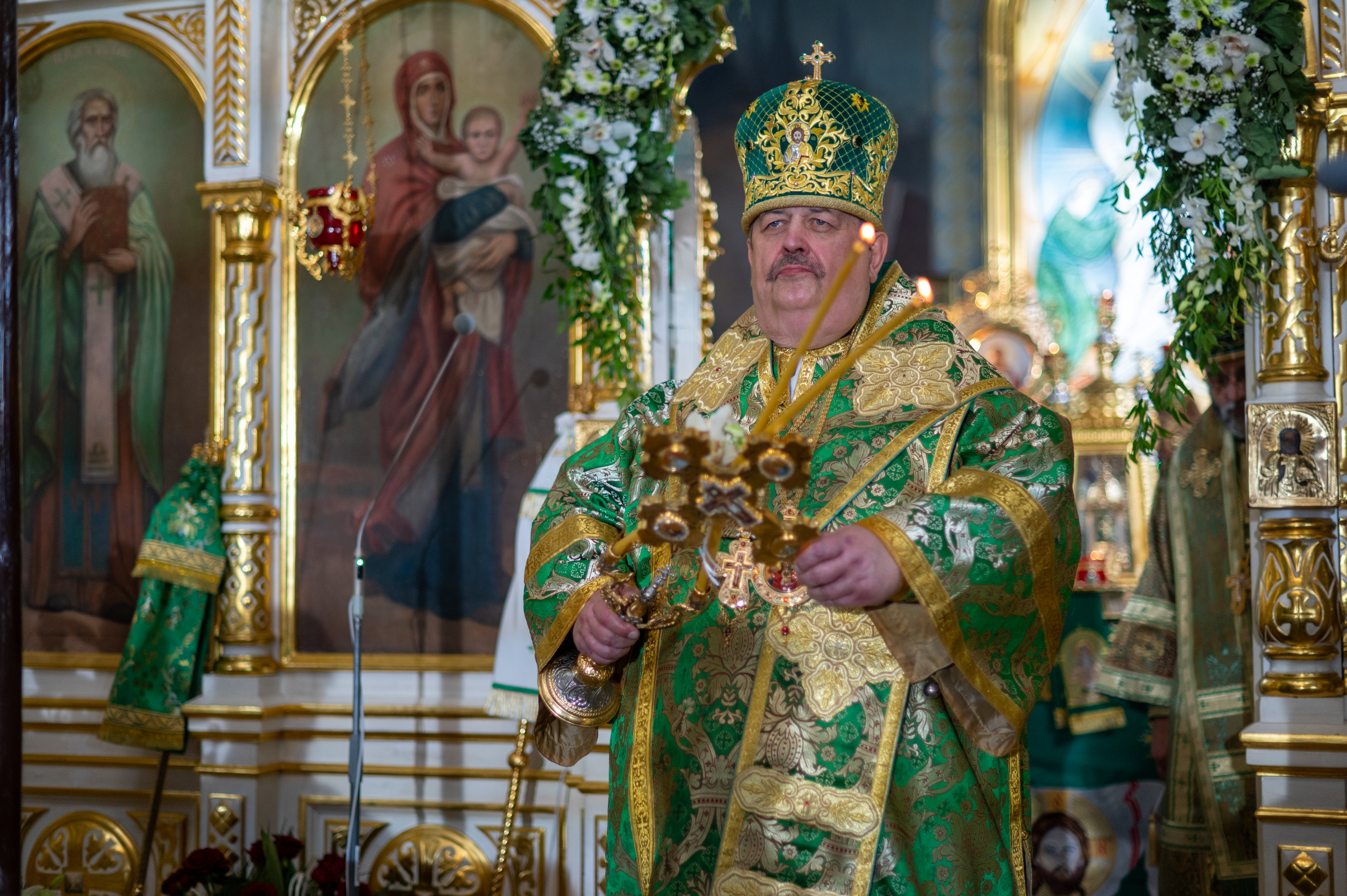 Abp Abel