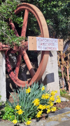 jarek1 
In the Old-Calendar monastery close to Kavala 
2024-04-04 21:28:44